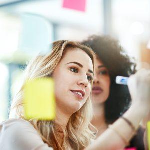 Onto the next big idea in business